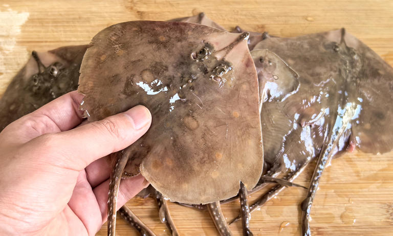 Đi chợ mua cá, nhớ kỹ 4 loại này toàn hàng “xịn”, dinh dưỡng cao, lại không thể nuôi nhân tạo, gặp là nên mua ngay- Ảnh 4.