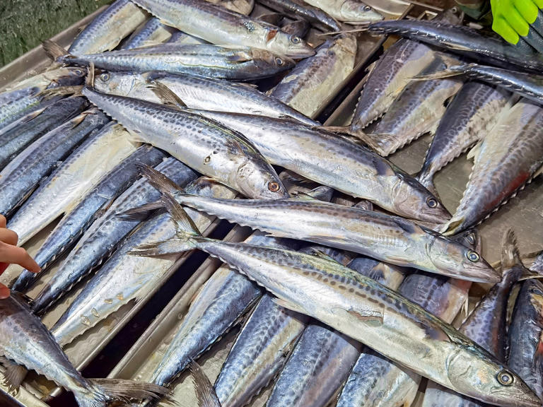 Đi chợ mua cá, nhớ kỹ 4 loại này toàn hàng “xịn”, dinh dưỡng cao, lại không thể nuôi nhân tạo, gặp là nên mua ngay- Ảnh 2.