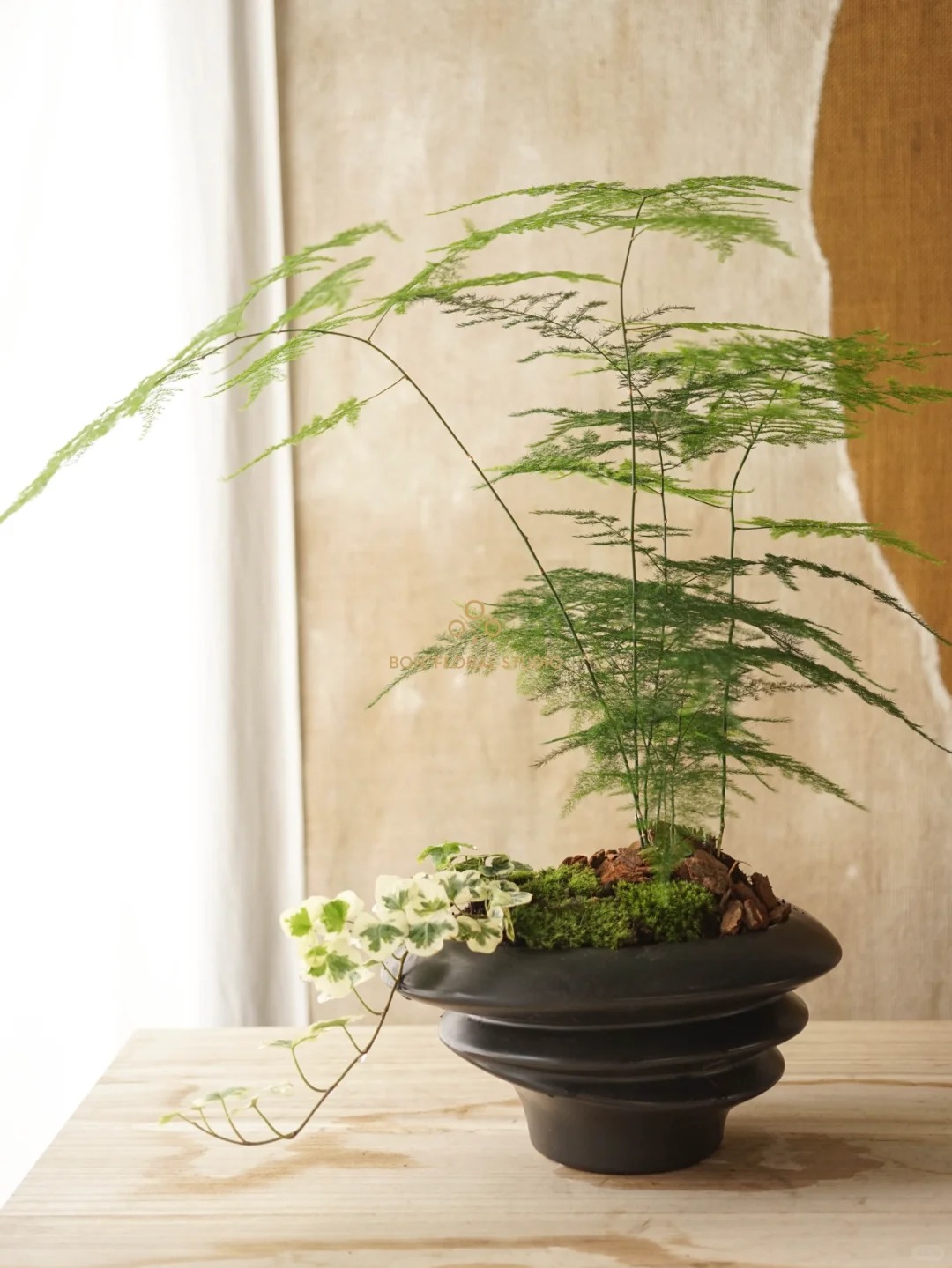 Đặt 1 trong 4 loại cây này ở nhà: Tài lộc, may mắn kéo đến ầm ầm- Ảnh 4. Đặt 1 trong 4 loại cây này ở nhà: Tài lộc, may mắn kéo đến ầm ầm- Ảnh 4.