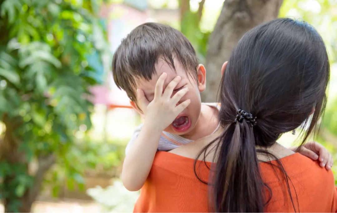 Cha mẹ xếp hàng 3 ngày 3 đêm để giành suất vào mẫu giáo, con nhập học một tuần bị trả về, lý do khiến cả nhà đau nhói- Ảnh 2.