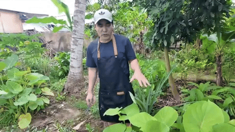 Nam diễn viên là "thiếu gia miền Tây chính hiệu", sở hữu cơ ngơi hoành tráng tại Vĩnh Long, không đi diễn sẽ về kế nghiệp gia đình- Ảnh 3. Nam diễn viên là "thiếu gia miền Tây chính hiệu", sở hữu cơ ngơi hoành tráng tại Vĩnh Long, không đi diễn sẽ về kế nghiệp gia đình- Ảnh 3.