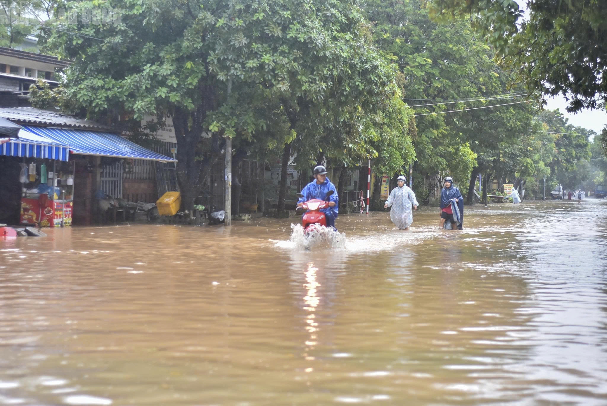 Quảng Trị: Mưa trắng trời, đường phố biến thành sông do ảnh hưởng bão số 10 - Ảnh 2.