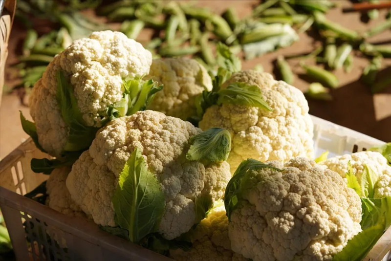 5 loại rau củ “tự mang độc tố”, nhất định phải chần qua nước sôi trước khi ăn- Ảnh 3. 5 loại rau củ “tự mang độc tố”, nhất định phải chần qua nước sôi trước khi ăn- Ảnh 3.