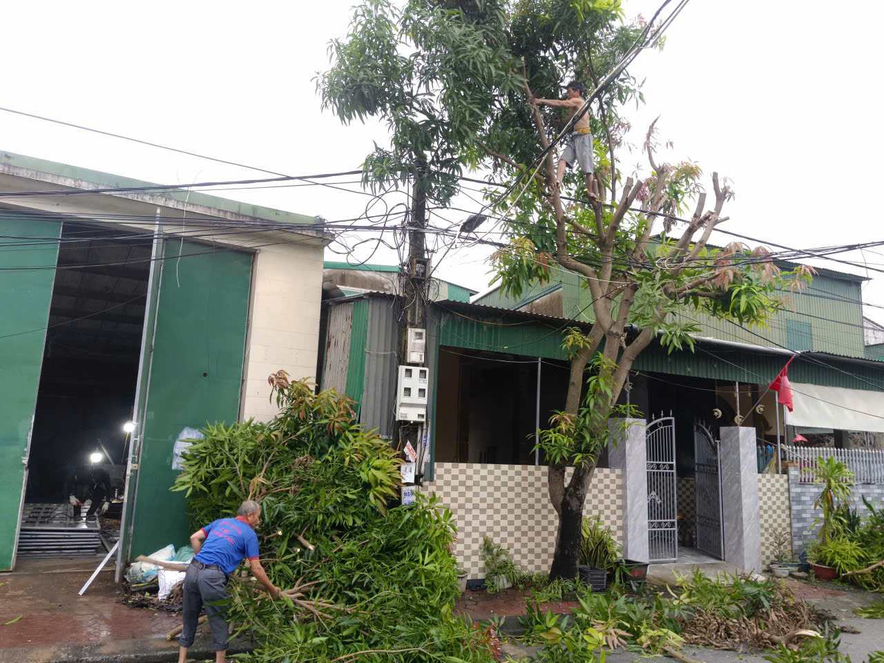 Bão số 10 Bualoi giật cấp 15 áp sát: Người dân hối hả phòng chống- Ảnh 3. Bão số 10 Bualoi giật cấp 15 áp sát: Người dân hối hả phòng chống- Ảnh 3.