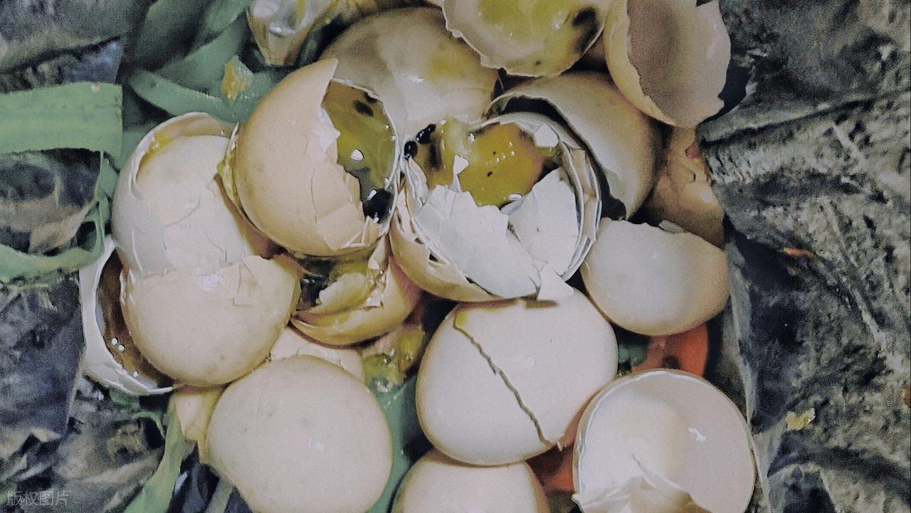 "Bạn đã bảo quản trứng đúng cách chưa?": Có những điều cấm kỵ, hãy nhớ "3 điều nên và 3 điều không nên làm"- Ảnh 7.