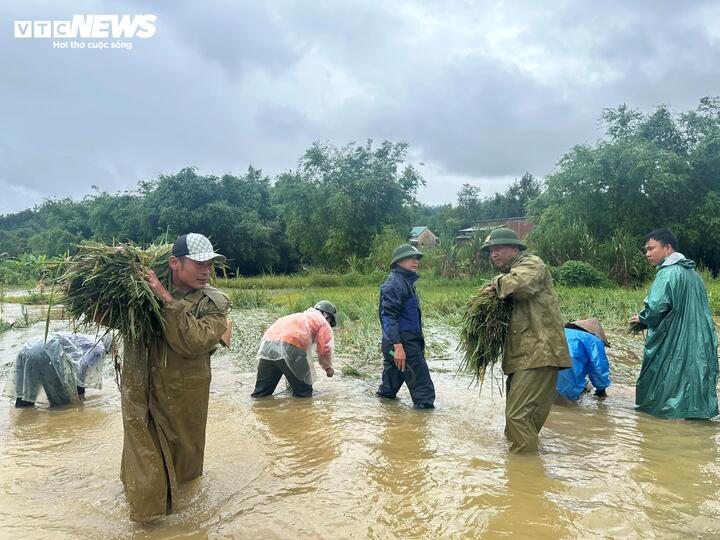 Bão số 10 cuốn bay mái nhà, quật đổ cây ở Huế, dân Quảng Trị vào hầm trú ẩn- Ảnh 8.