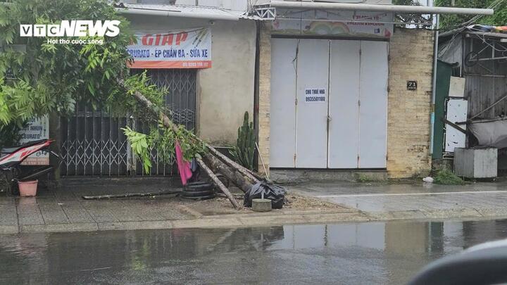 Bão số 10 cuốn bay mái nhà, quật đổ cây ở Huế, dân Quảng Trị vào hầm trú ẩn- Ảnh 5.