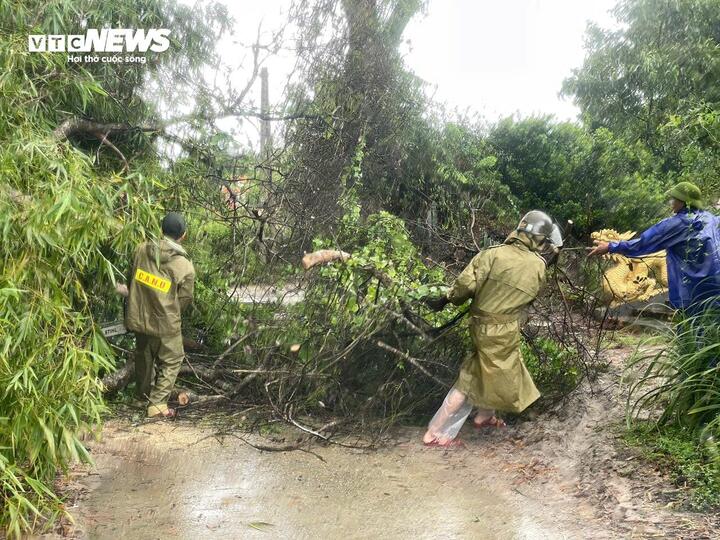 Bão số 10 cuốn bay mái nhà, quật đổ cây ở Huế, dân Quảng Trị vào hầm trú ẩn- Ảnh 4.