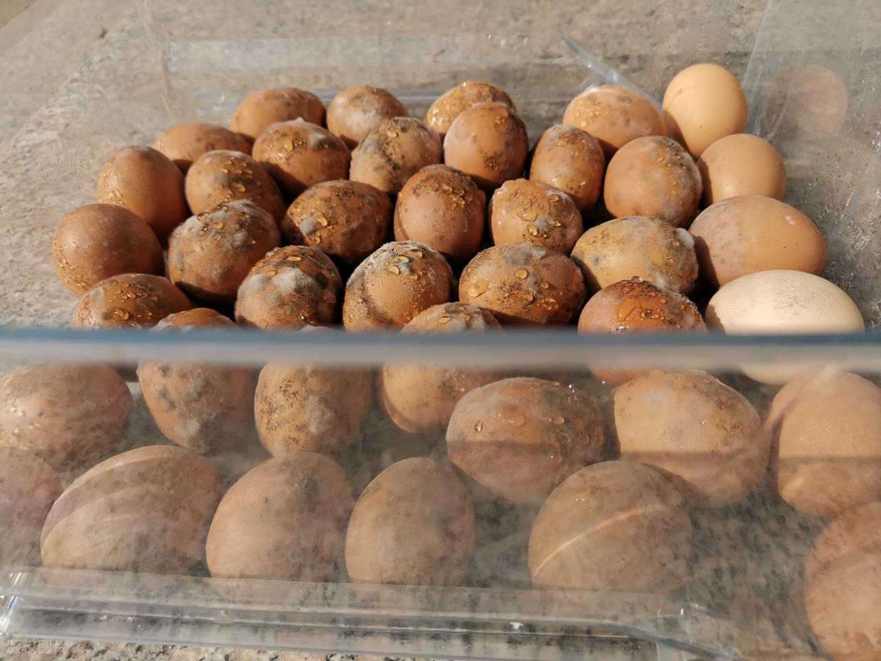 "Bạn đã bảo quản trứng đúng cách chưa?": Có những điều cấm kỵ, hãy nhớ "3 điều nên và 3 điều không nên làm"- Ảnh 8.