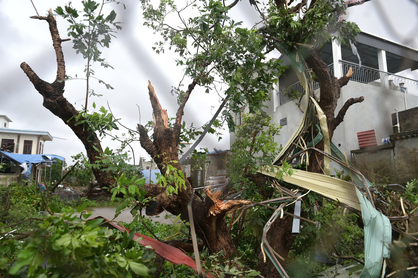 Ninh Bình công bố tình huống khẩn cấp về sự cố đê biển, Tây Bắc lên phương án phòng chống lũ- Ảnh 3.