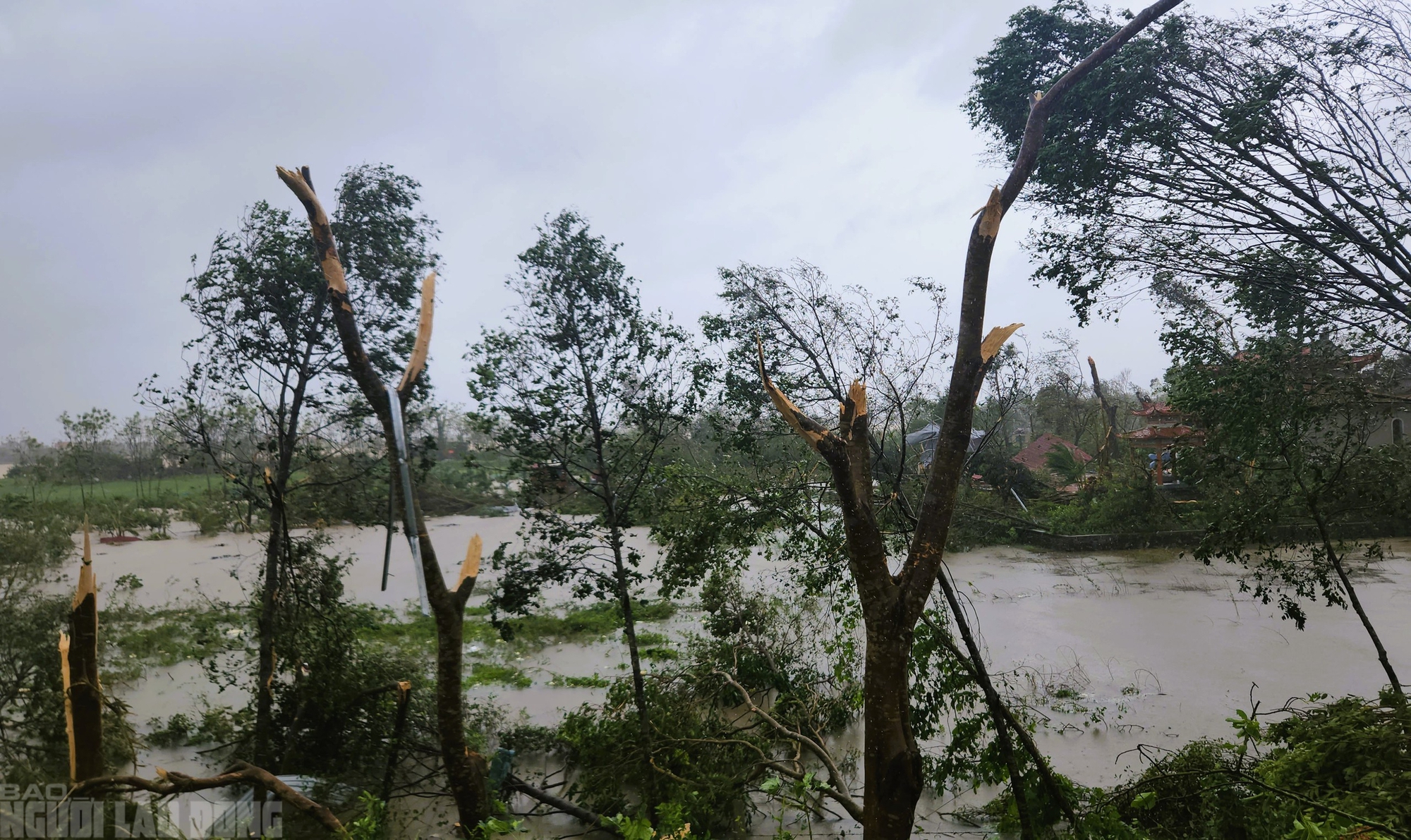 Hiện trường tan hoang sau trận lốc xoáy kinh hoàng ở Thanh Hóa- Ảnh 8.