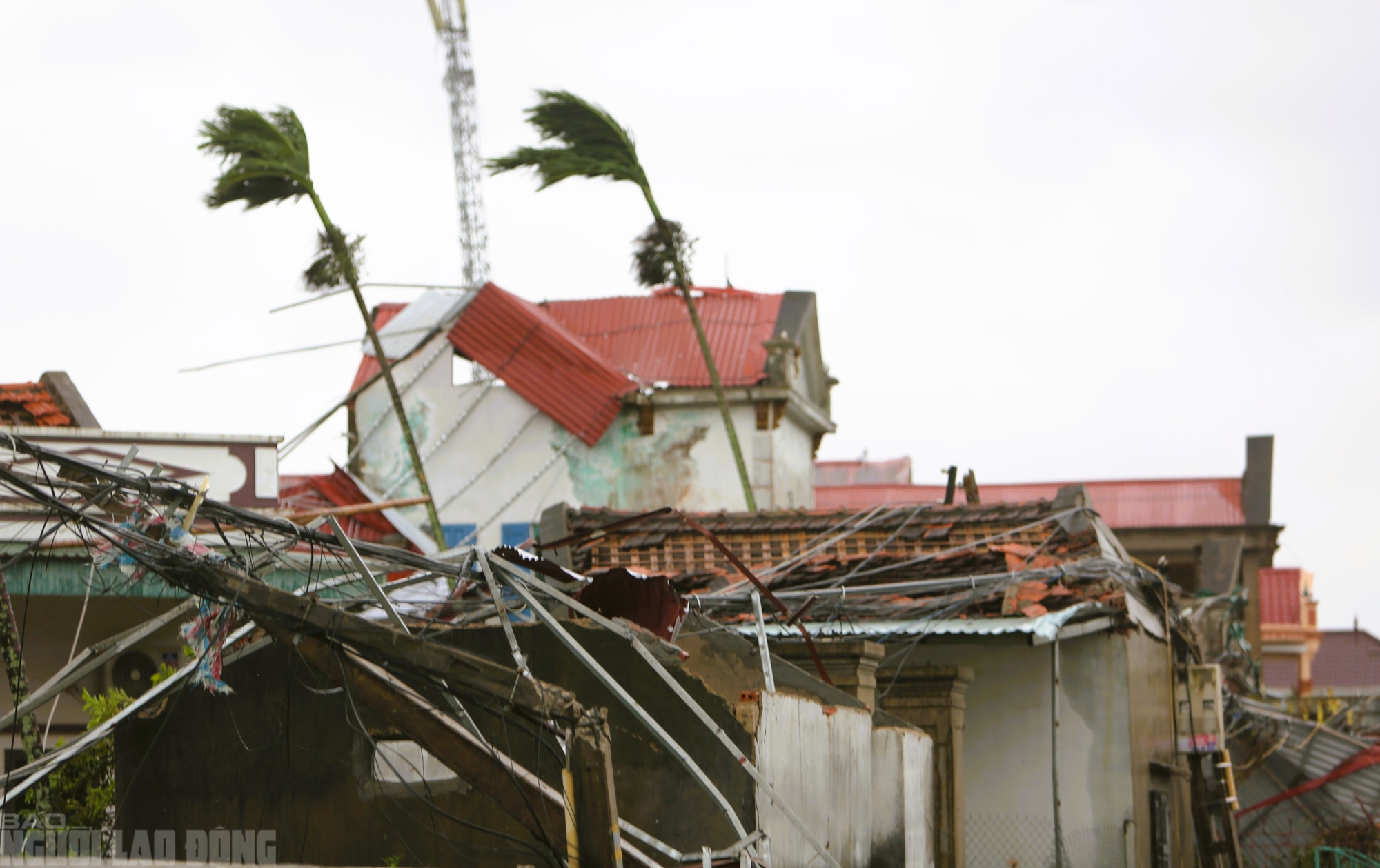Hiện trường tan hoang sau trận lốc xoáy kinh hoàng ở Thanh Hóa- Ảnh 4.