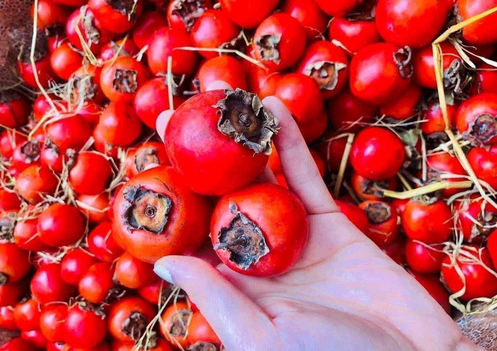 Đừng lầm tưởng! 3 loại trái cây nhiều người ăn để giảm cân lại khiến đường huyết tăng vọt- Ảnh 2. Đừng lầm tưởng! 3 loại trái cây nhiều người ăn để giảm cân lại khiến đường huyết tăng vọt- Ảnh 2.