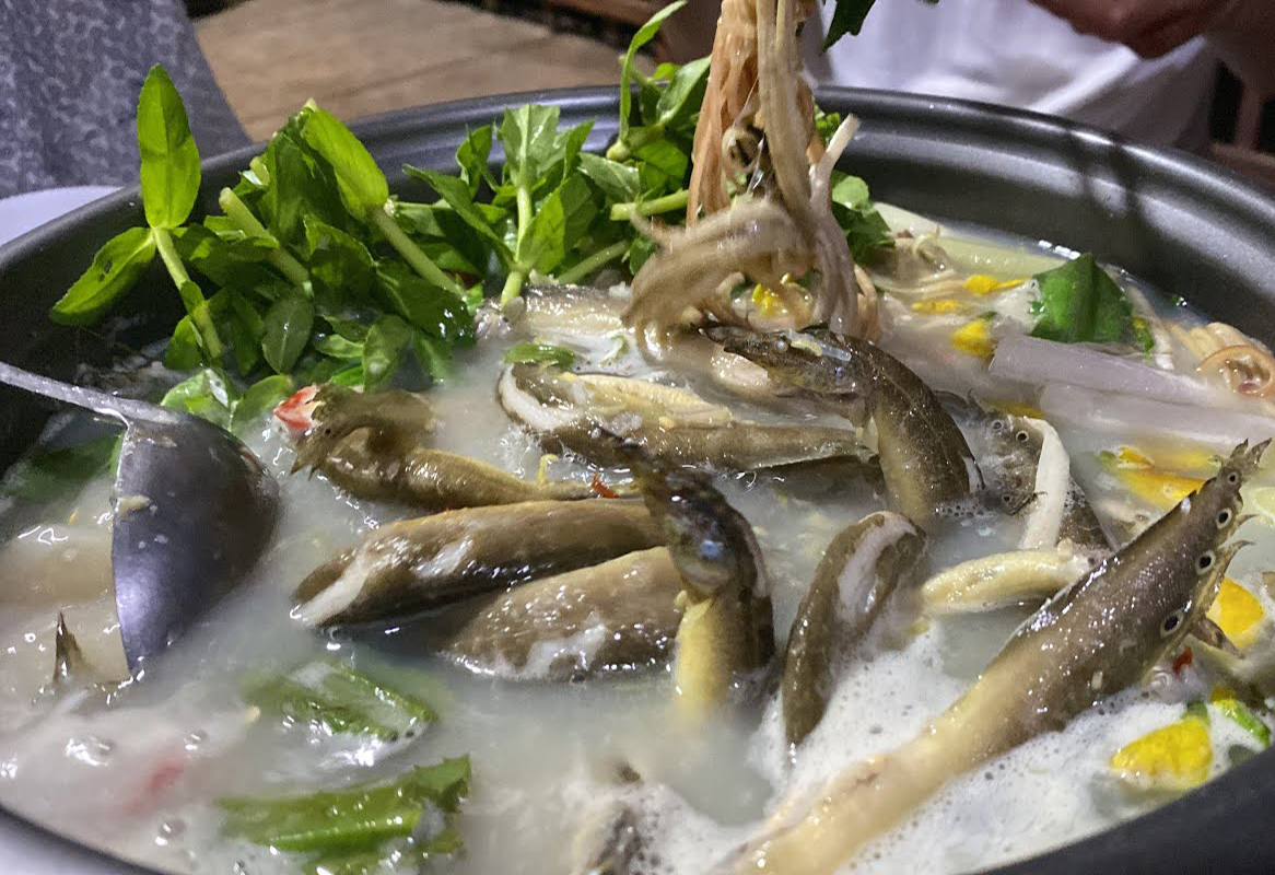 Việt Nam có loại cá quê bổ như "nhân sâm dưới nước": Dưỡng thận, sáng mắt, tốt cho cả não và tim - Ảnh 3.