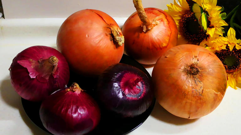 Nhà nông nói thẳng: 5 loại rau củ "không cần thuốc trừ sâu" lại bổ như sâm, cứ yên tâm mà mua- Ảnh 5.