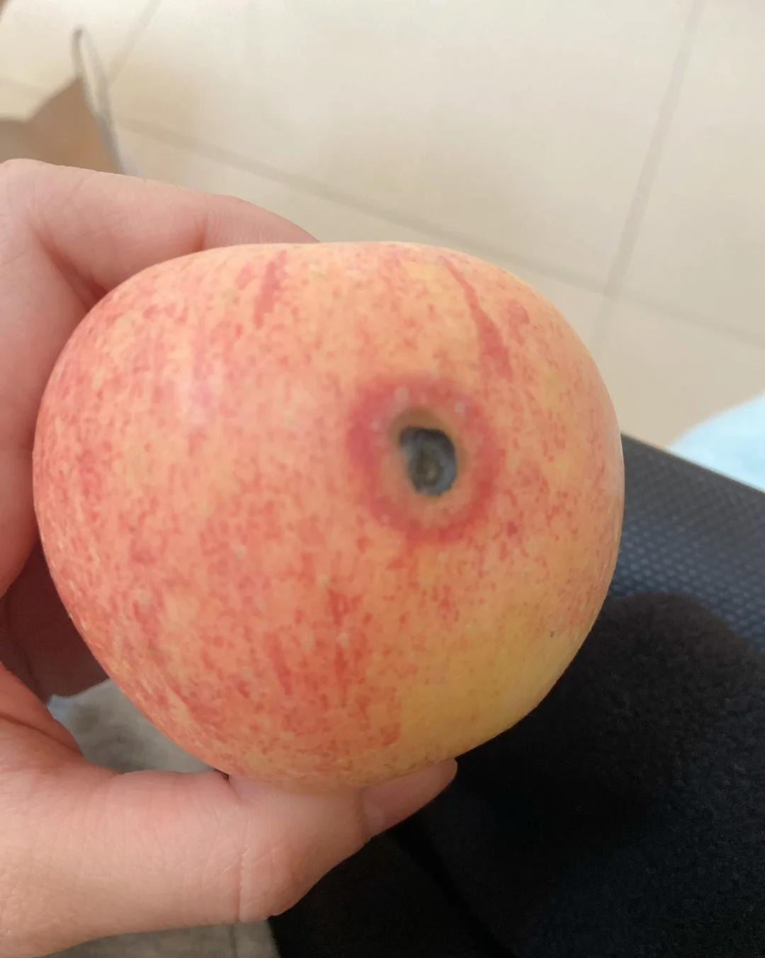 6 thói quen nhà bếp càng tiết kiệm càng rước bệnh, dừng ngay trước khi quá muộn- Ảnh 5. 6 thói quen nhà bếp càng tiết kiệm càng rước bệnh, dừng ngay trước khi quá muộn- Ảnh 5.