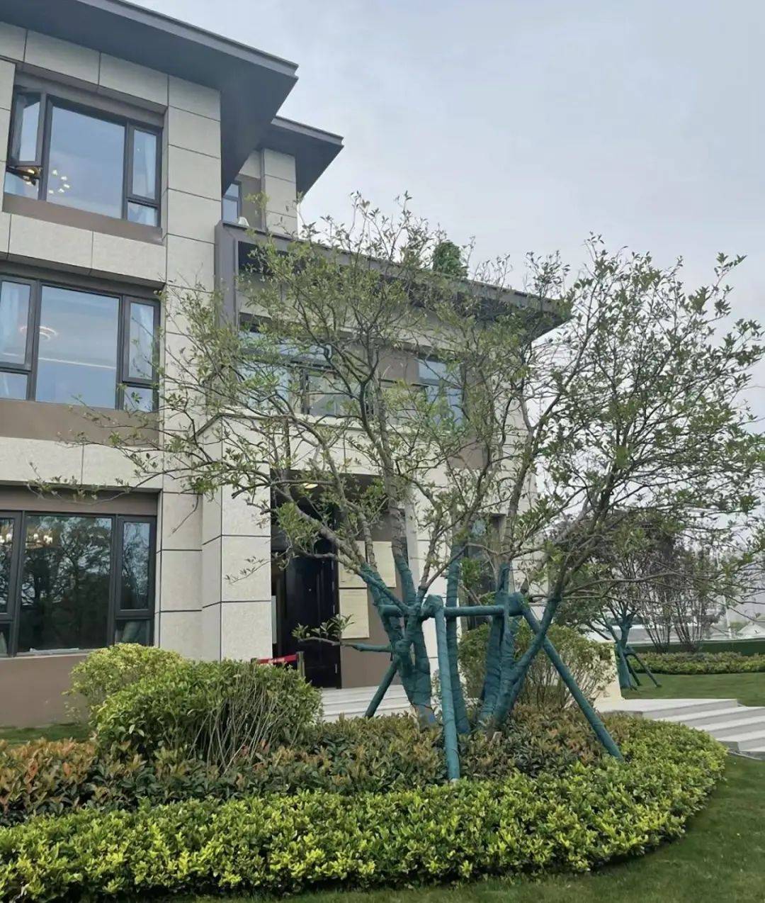 Vì sao ngày càng nhiều người giàu bỏ biệt thự, mua hai căn hộ cửa đối cửa để ở gần cha mẹ?- Ảnh 1.