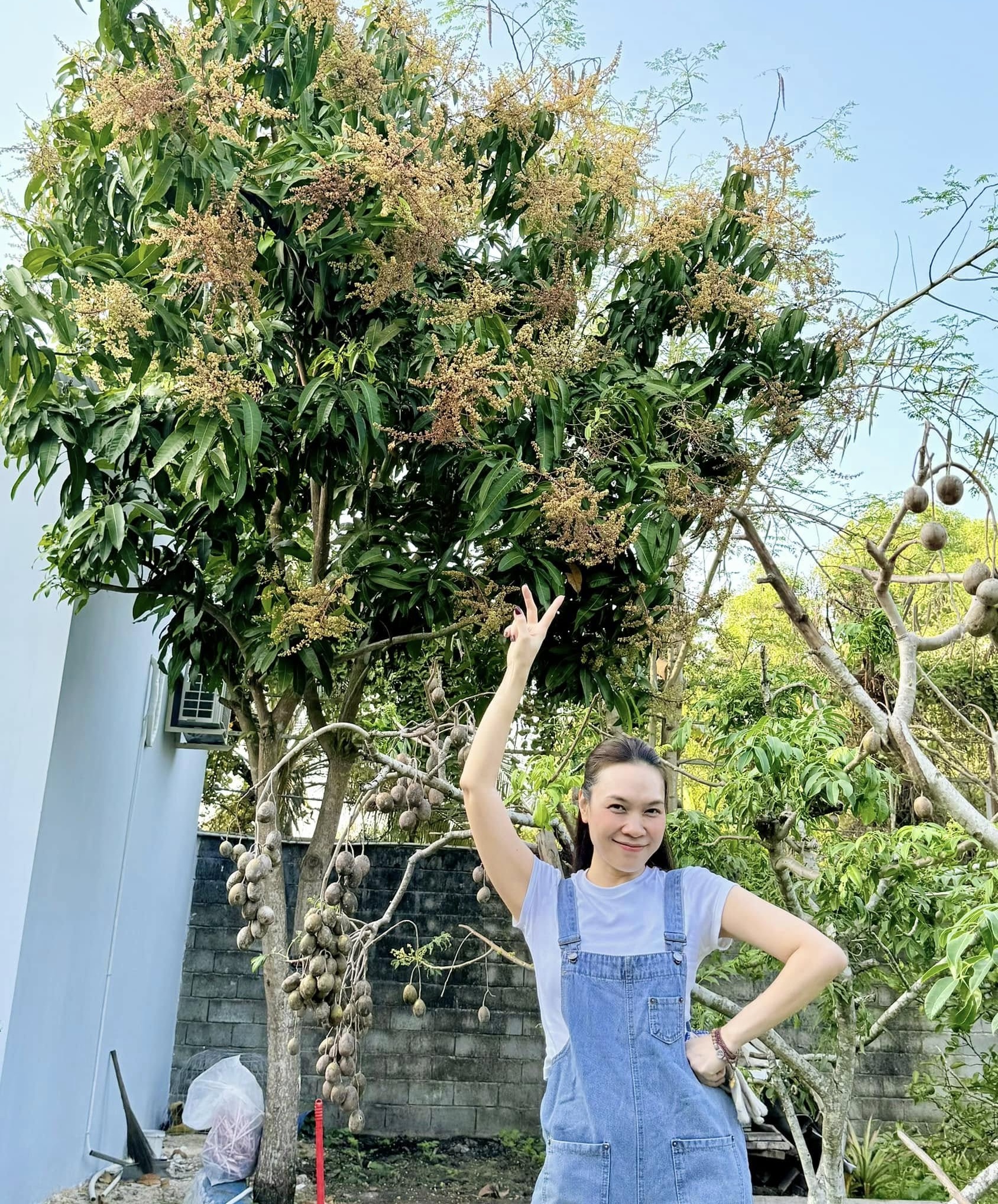 ‘Hoạ mi tóc nâu’ Mỹ Tâm: Nữ doanh nhân kín tiếng, sở hữu khối tài sản khủng - Ảnh 8.