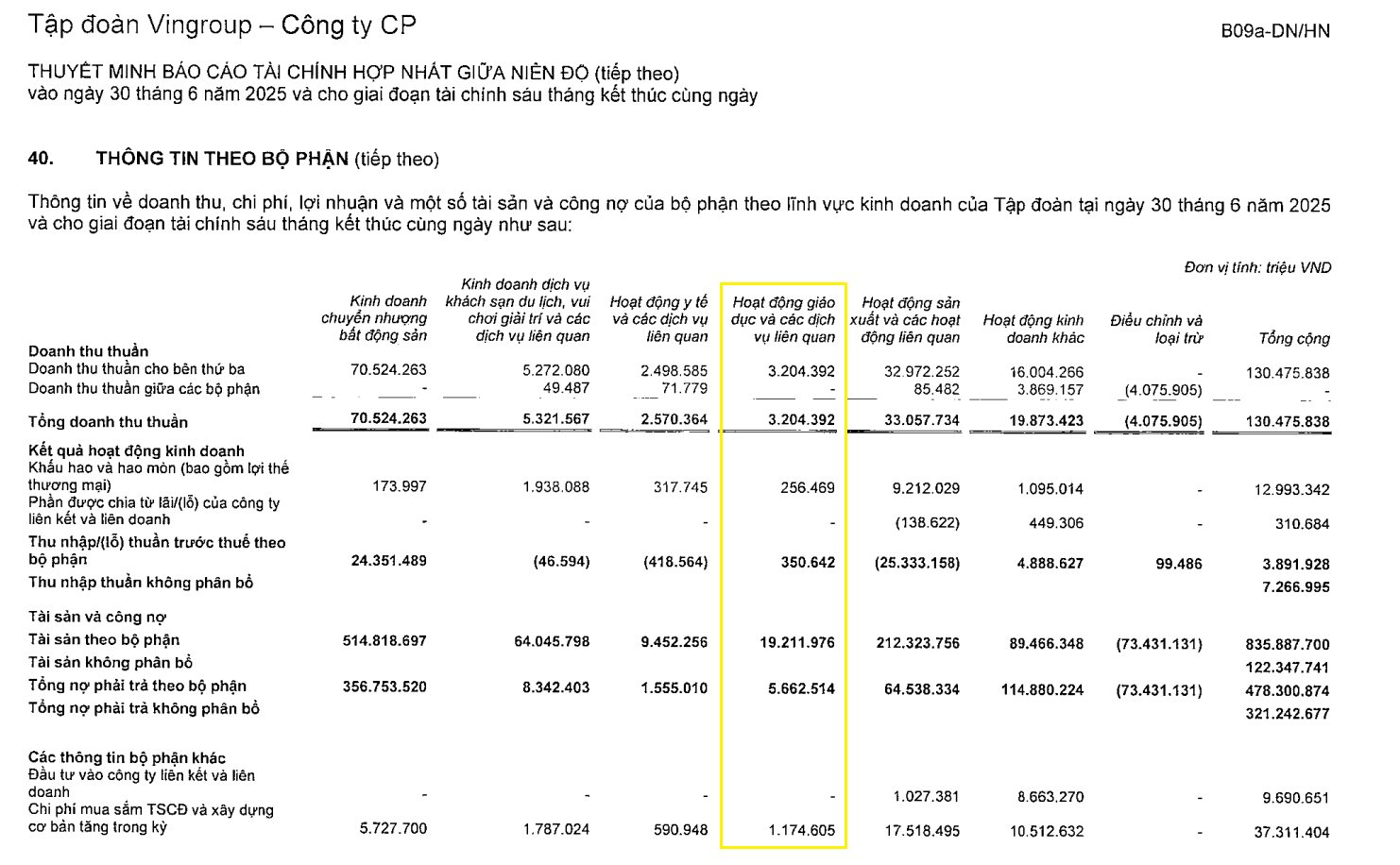 Vingroup kiếm được bao nhiêu tiền từ mảng giáo dục?- Ảnh 2.