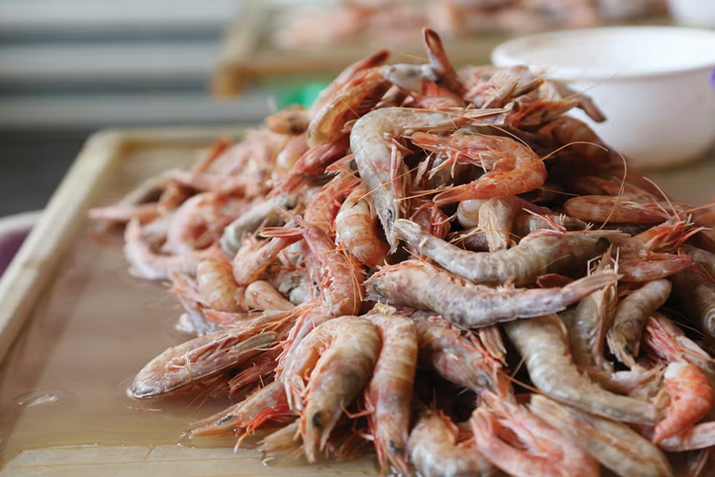 Top 2 loại hải sản đứng đầu danh sách nhiễm vi nhựa nhưng người Việt vẫn vô tư ăn hàng ngày- Ảnh 1.