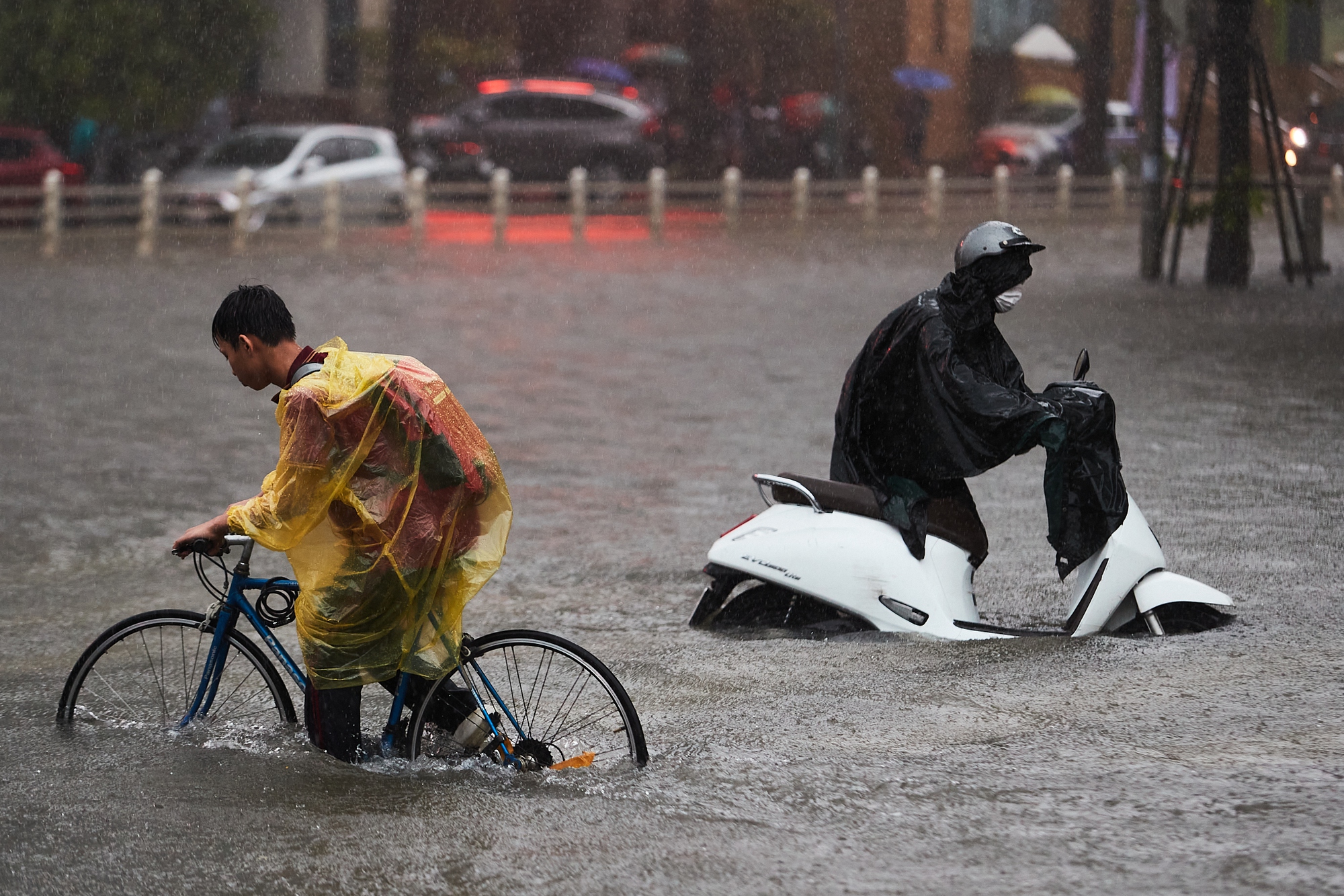 Ngày mai, miền Bắc và Hà Nội tiếp tục mưa to đến rất to- Ảnh 1.