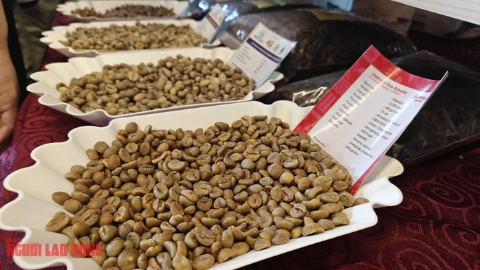 Giá cà phê hôm nay 4-9: Tăng lại, Mexico tăng nhập cà phê Việt 90 lần!- Ảnh 1. Giá cà phê hôm nay 4-9: Tăng lại, Mexico tăng nhập cà phê Việt 90 lần!- Ảnh 1.