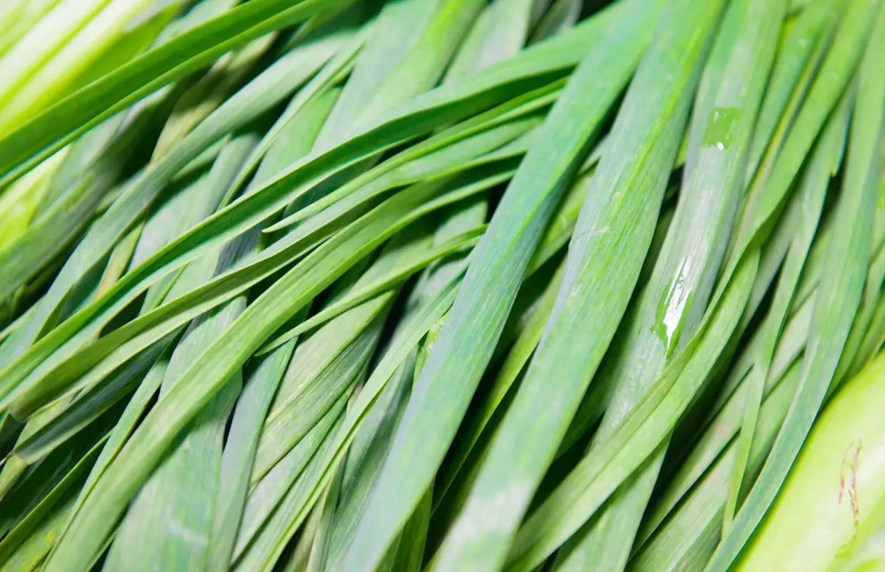 5 loại rau quả "ngậm thuốc" nhiều nhất chợ, tiểu thương lâu năm nói thẳng không bao giờ cho gia đình ăn- Ảnh 1.