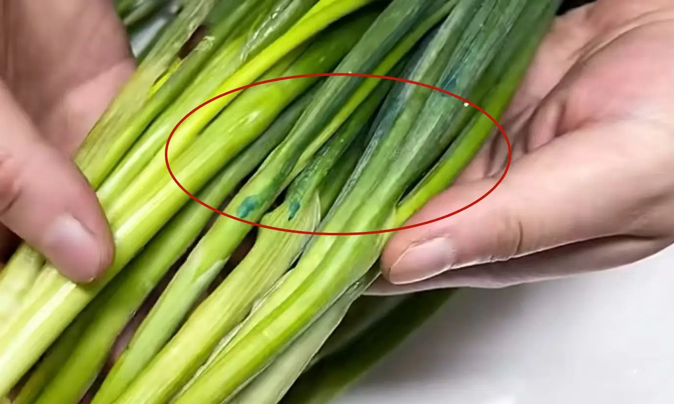 5 loại rau quả "ngậm thuốc" nhiều nhất chợ, tiểu thương lâu năm nói thẳng không bao giờ cho gia đình ăn- Ảnh 2.