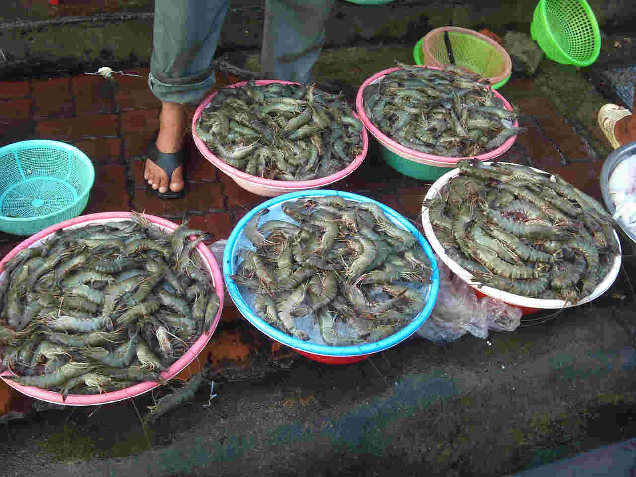 Chủ tiệm hải sản nói thẳng: “Chỉ người không biết mới mua 4 loại tôm này, cực hại sức khỏe, nhớ tránh xa"- Ảnh 1.