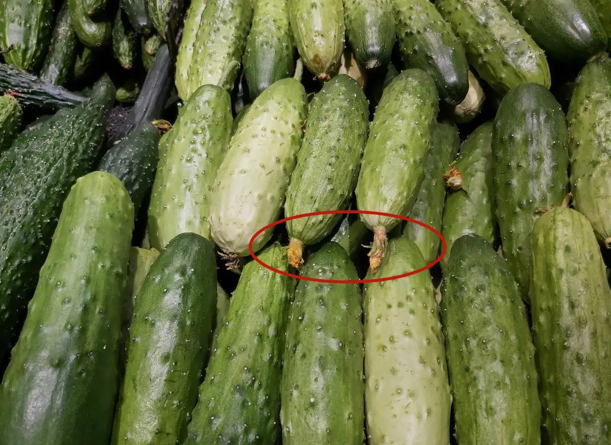 5 loại rau quả "ngậm thuốc" nhiều nhất chợ, tiểu thương lâu năm nói thẳng không bao giờ cho gia đình ăn- Ảnh 3.