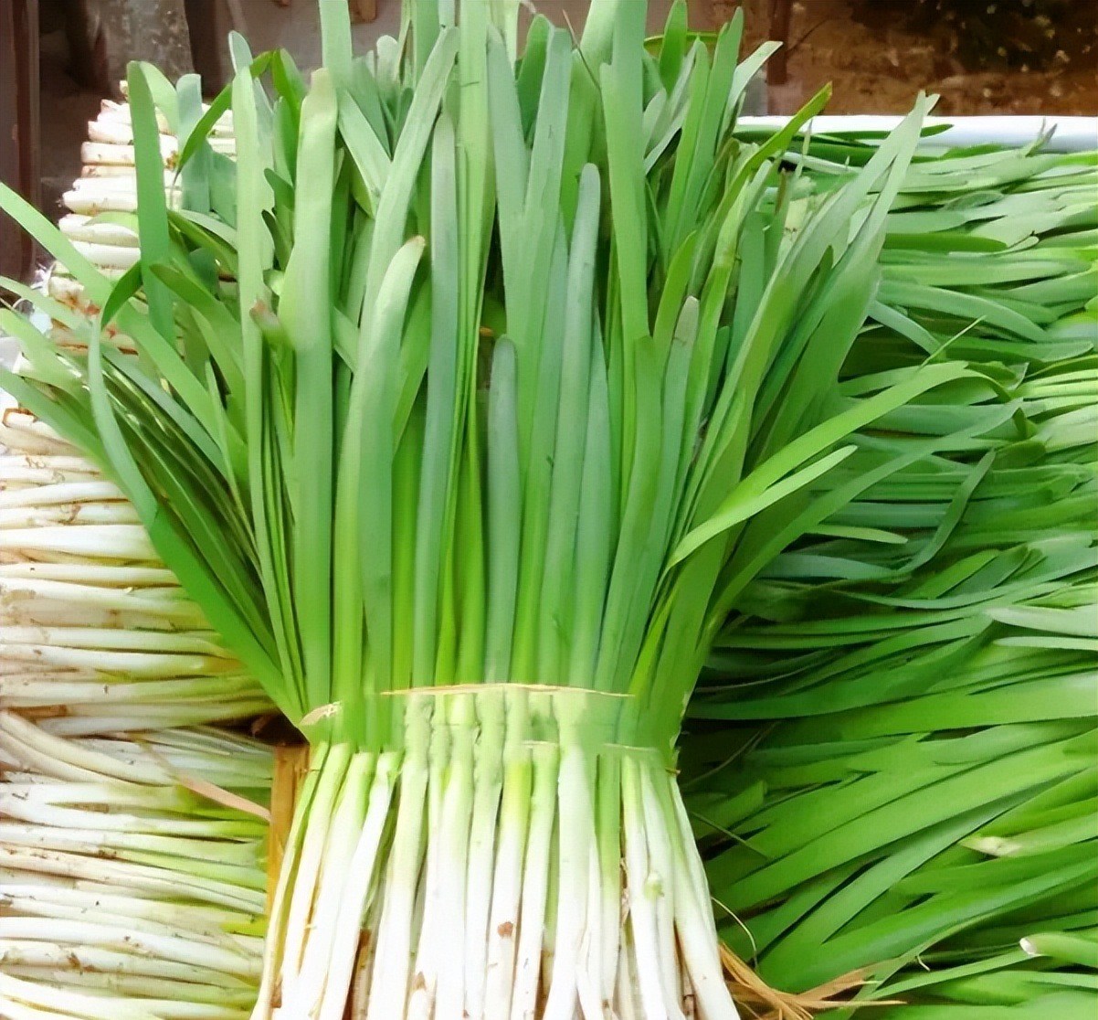 Người bán rau nói thẳng: Đi chợ thấy rau củ có 4 đặc điểm này, rẻ như bèo cũng QUAY XE!- Ảnh 3.