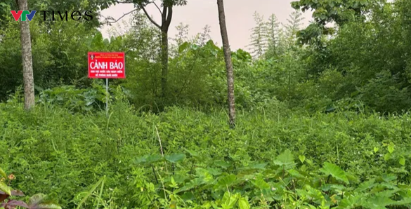 Không có chuyện vỡ đê hữu Thao ở Phú Thọ - Ảnh 4.