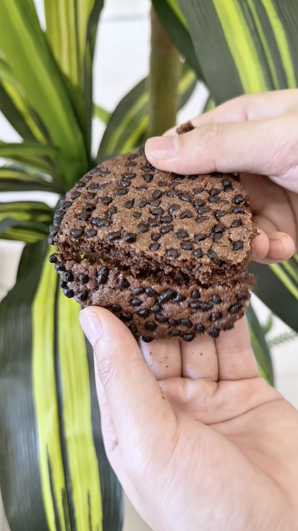 Phản hồi chính thức của tiệm bánh hot nhất Đà Nẵng sau việc để bánh lộ thiên, chất lượng không tương xứng- Ảnh 6. Phản hồi chính thức của tiệm bánh hot nhất Đà Nẵng sau việc để bánh lộ thiên, chất lượng không tương xứng- Ảnh 6.