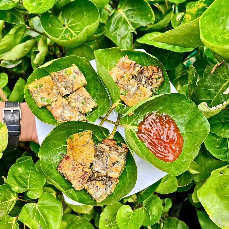 "Ước mơ" không phải rửa bát sau khi ăn, cô gái liền trồng ngay một loại cây, dân mạng xem xong chỉ biết trầm trồ- Ảnh 3.