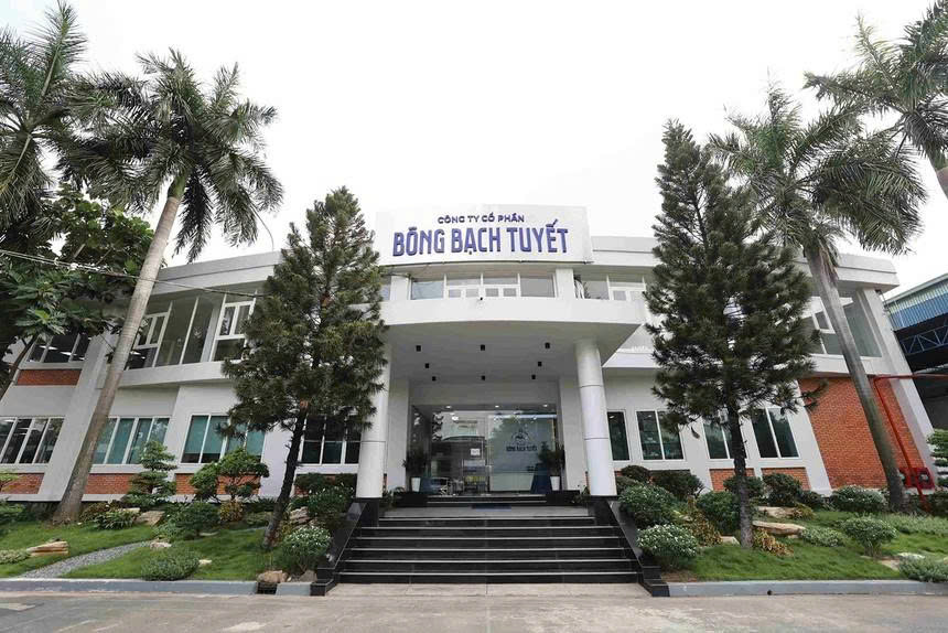 Bông Bạch Tuyết bị xử phạt do vi phạm liên quan đến thuế - Ảnh 1.