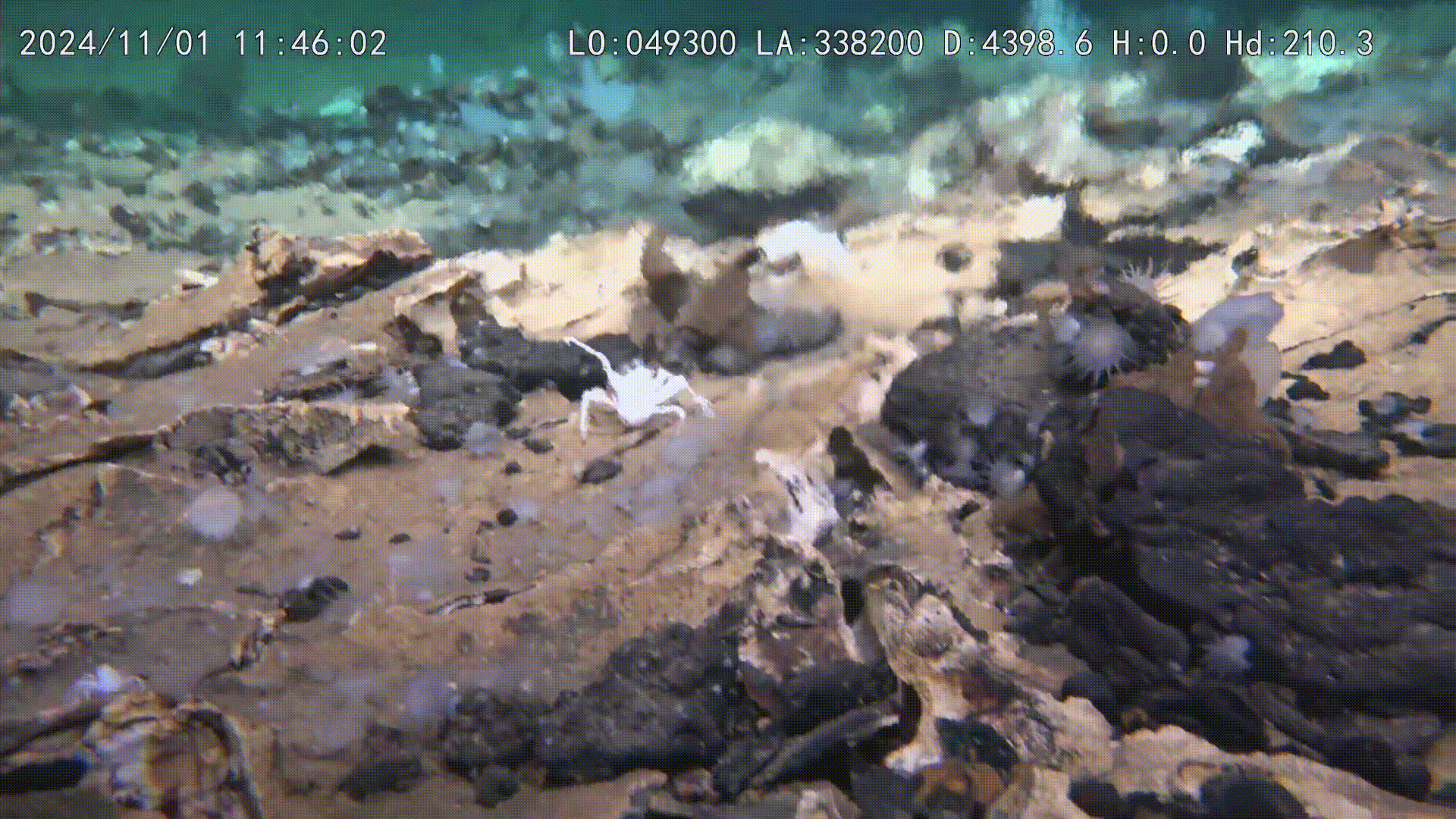 Tàu ngầm Trung Quốc tìm ra nơi chứa bí mật về sự sống - Ảnh 2.