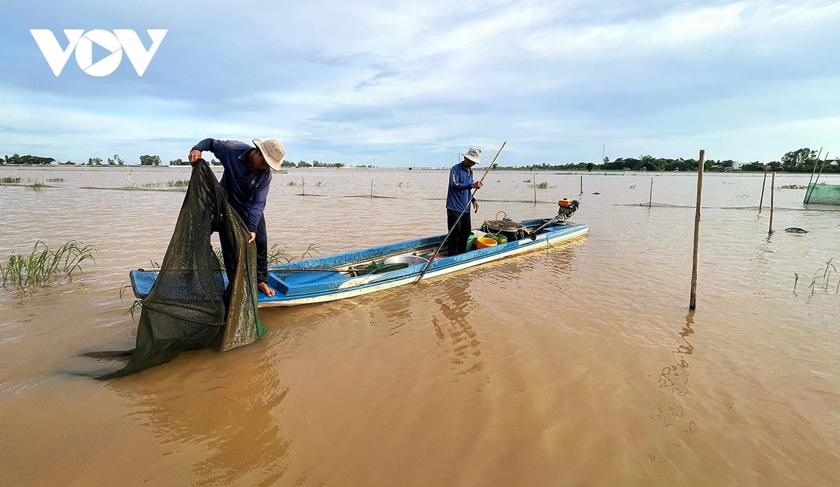 Nguy cơ khủng hoảng nguồn cá sông Mekong- Ảnh 1.