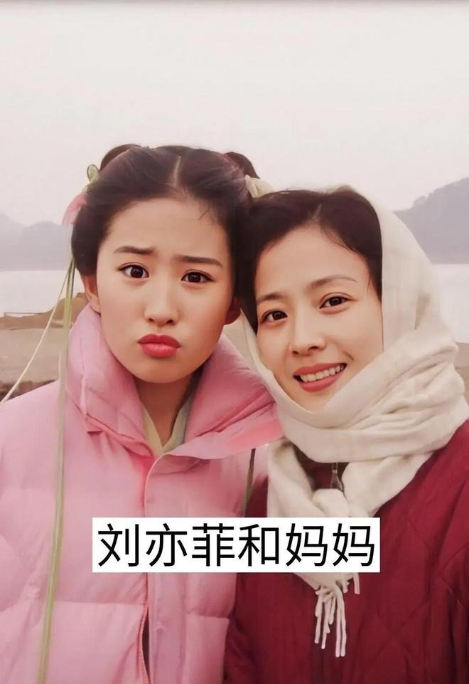 Không ai dám cưới Lưu Diệc Phi- Ảnh 4.