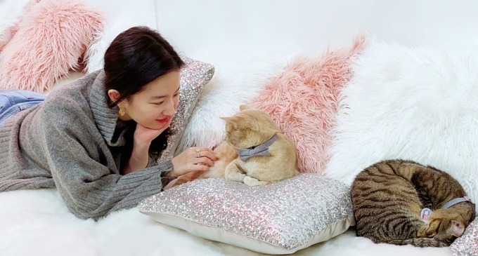 Không ai dám cưới Lưu Diệc Phi- Ảnh 8.