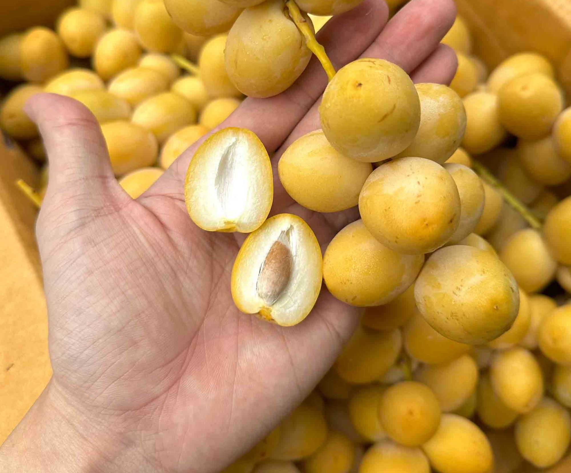 Quả gì "cắn dọc thì chát, cắn ngang thì ngọt", cả cõi mạng chết mê? - Ảnh 1. Quả gì "cắn dọc thì chát, cắn ngang thì ngọt", cả cõi mạng chết mê? - Ảnh 1.