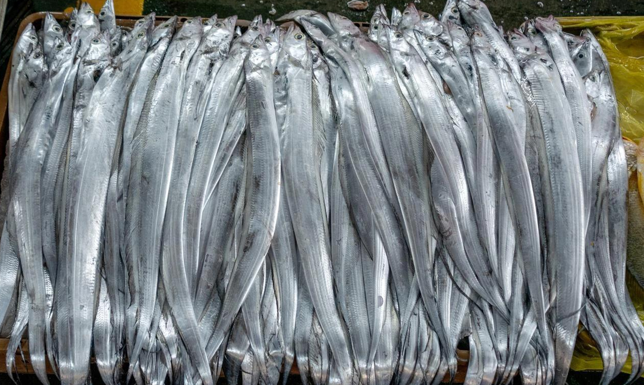 Tôi vừa mới phát hiện ra: 4 loại cá này chứa kim loại nặng và ký sinh trùng, vì sức khỏe của bạn và gia đình nên ăn ít lại!- Ảnh 3.