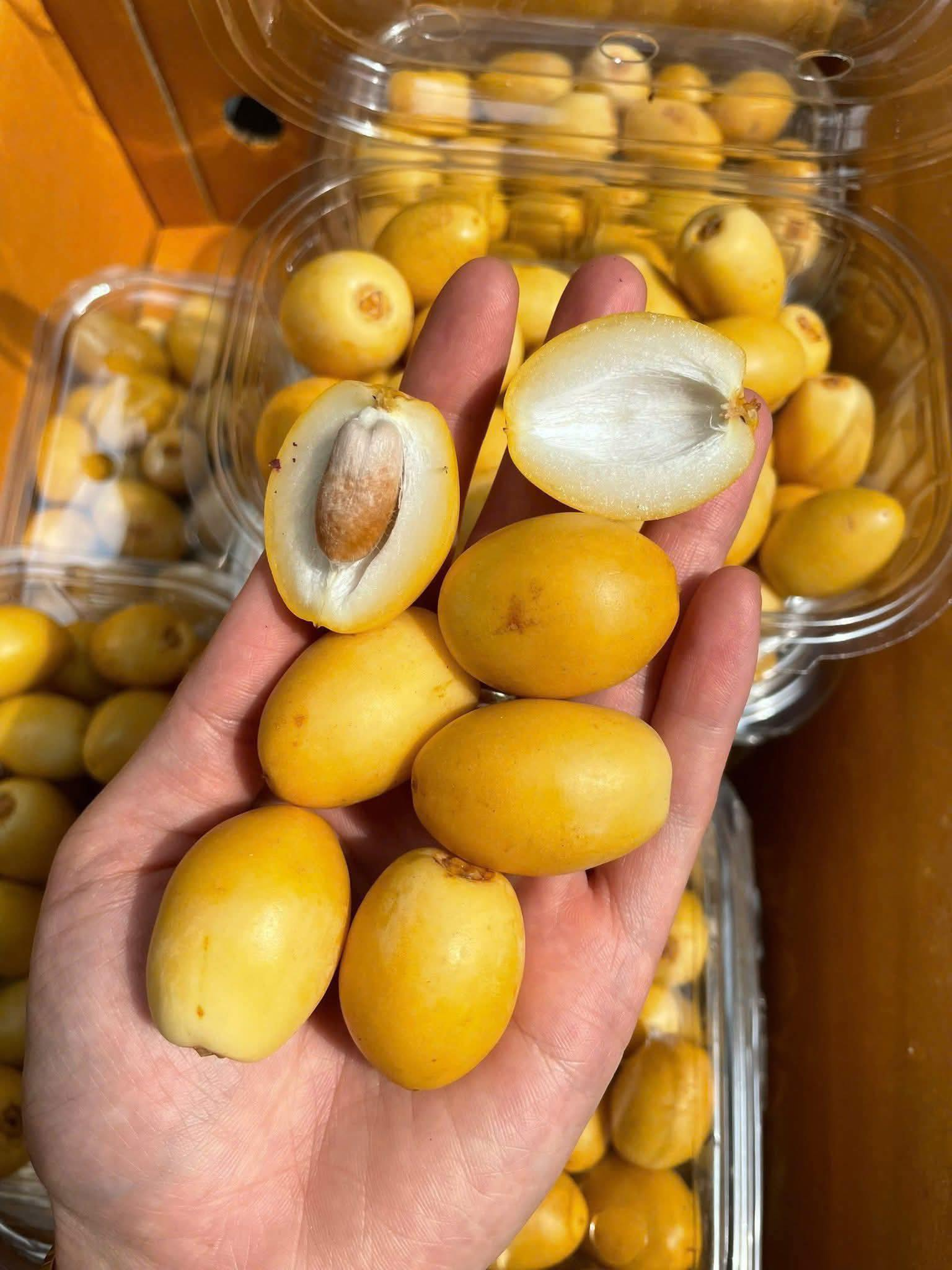 Quả gì "cắn dọc thì chát, cắn ngang thì ngọt", cả cõi mạng chết mê? - Ảnh 3. Quả gì "cắn dọc thì chát, cắn ngang thì ngọt", cả cõi mạng chết mê? - Ảnh 3.