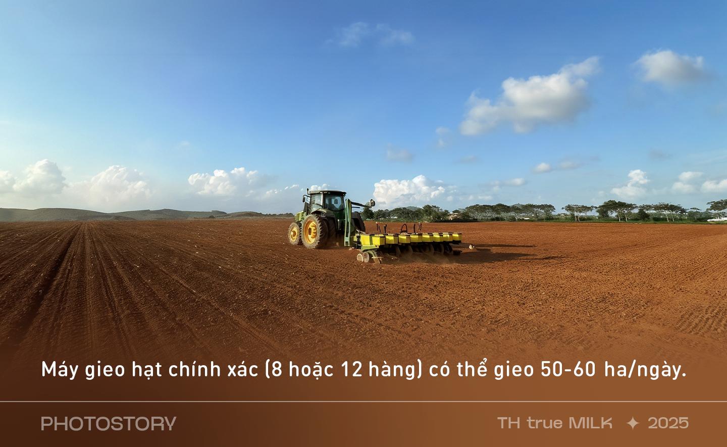 Những cỗ “siêu máy” trên cánh đồng nguyên liệu 8.100 ha của TH true MILK - Ảnh 3.