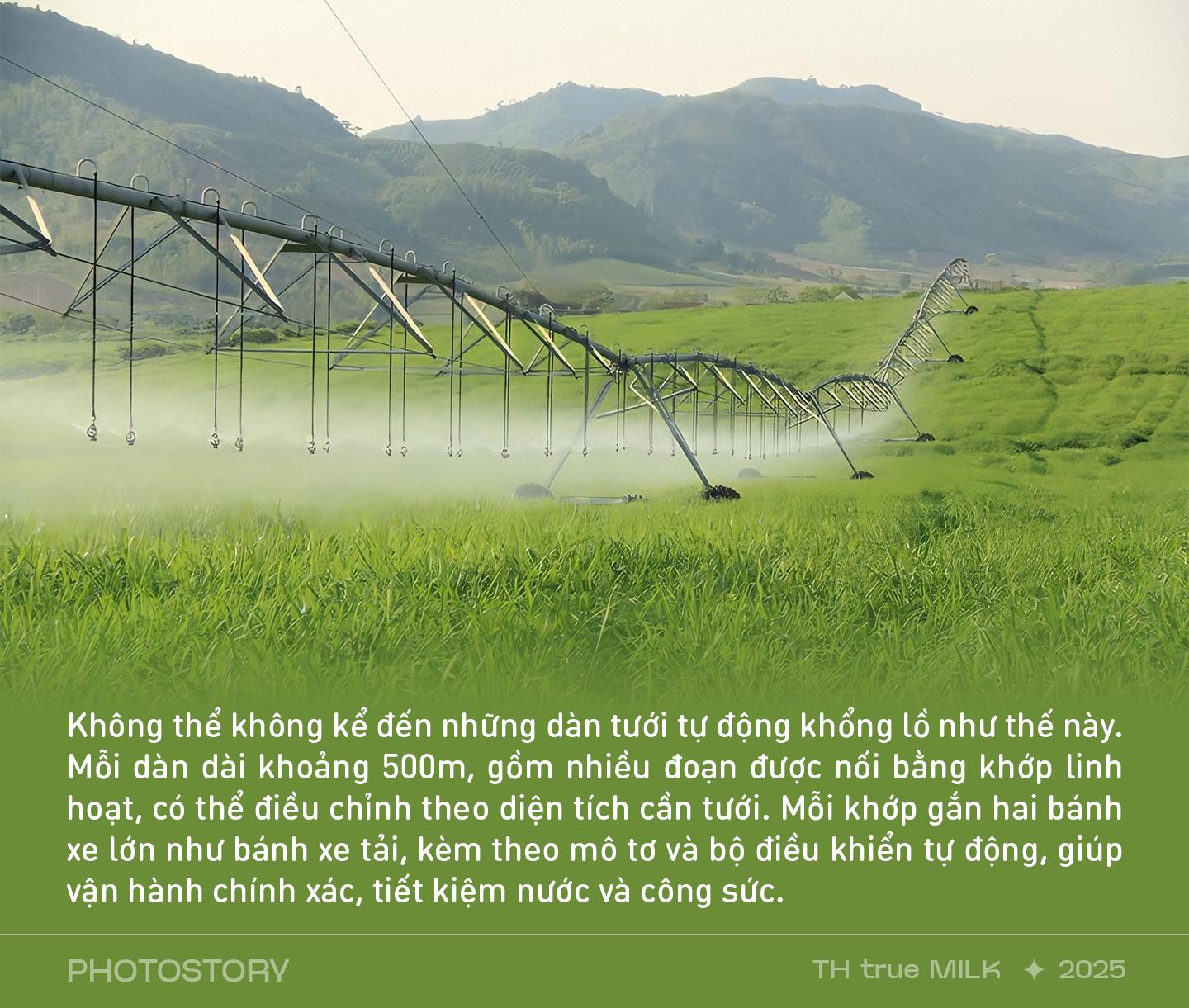 Những cỗ “siêu máy” trên cánh đồng nguyên liệu 8.100 ha của TH true MILK - Ảnh 4.