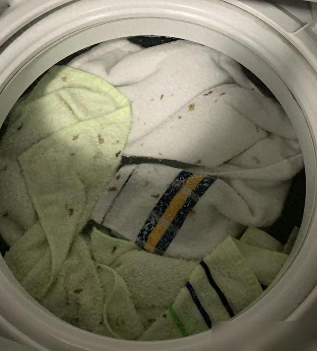 3 thói quen dùng máy giặt "đầu độc" sức khỏe, nhiều gia đình vẫn làm hàng ngày- Ảnh 4.