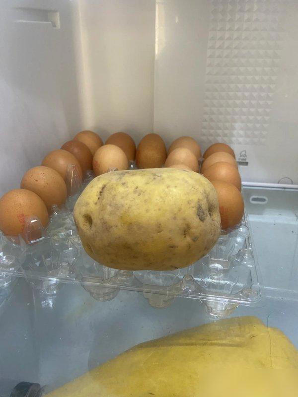 Khuyên thật: 5 thực phẩm tuyệt đối KHÔNG cho vào tủ lạnh, càng để càng hỏng, chẳng khác nào “nuôi vi khuẩn”- Ảnh 2.