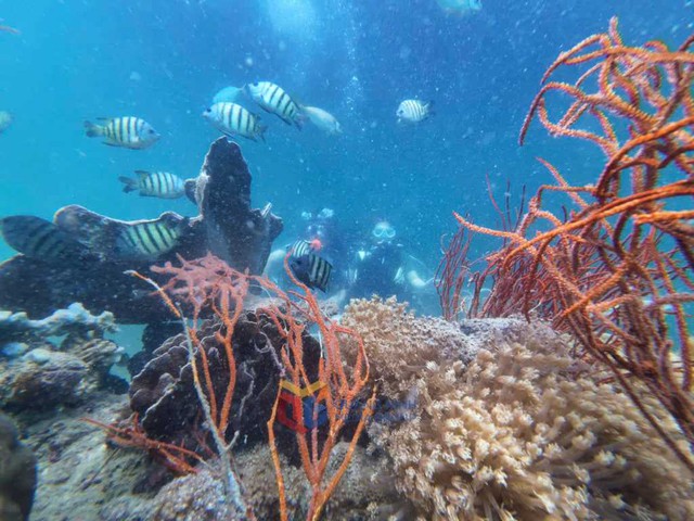 Từ đảo hoang sơ thành thiên đường giải trí biển đảo đặc sắc, khác biệt ngay cạnh cửa ngõ Thủ đô- Ảnh 2.