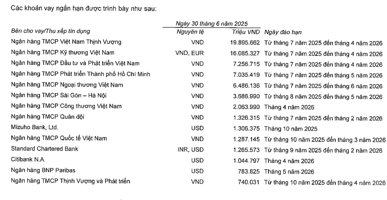 Khoản nợ 800.000 tỷ đồng bị thông tin thất thiệt của Vingroup có gì đáng chú ý?- Ảnh 1.