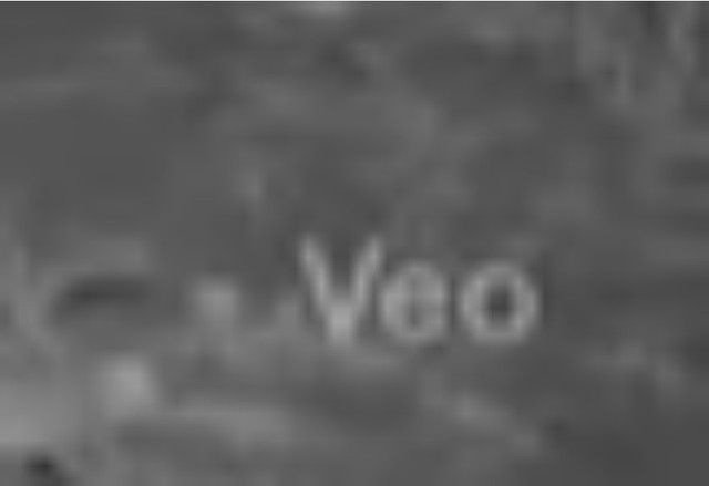 Video sư tử run sợ trước robot AI hút hơn 30.000 lượt quan tâm: Chuyên gia vào cuộc hé lộ sự thật- Ảnh 2.