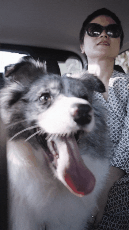 Bán nhà phố, cặp vợ chồng trung niên chuyển ra ngoại ô ở nhà 360m²: Giảm chi phí sống, làm 4 giờ/ngày vẫn đủ đầy- Ảnh 7.